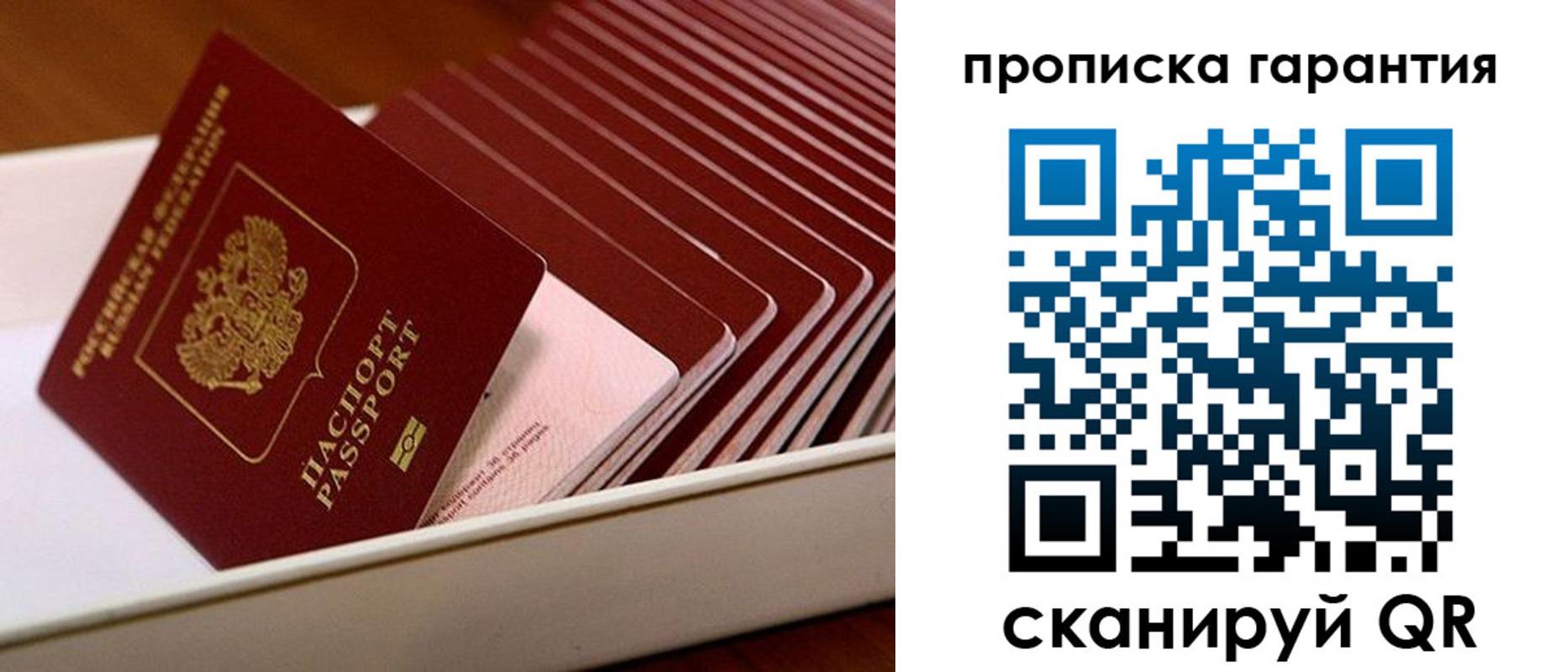 прописка поиск в Стародубе
